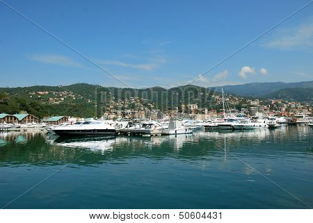 genova