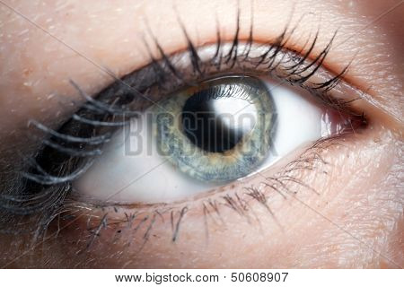 Eye
