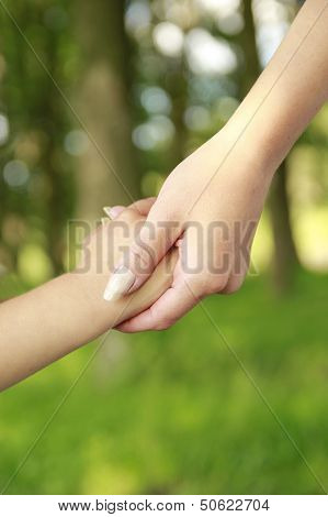 Parent Holds The Hand Of A Small Child
