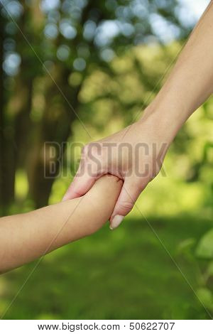 Parent Holds The Hand Of A Small Child