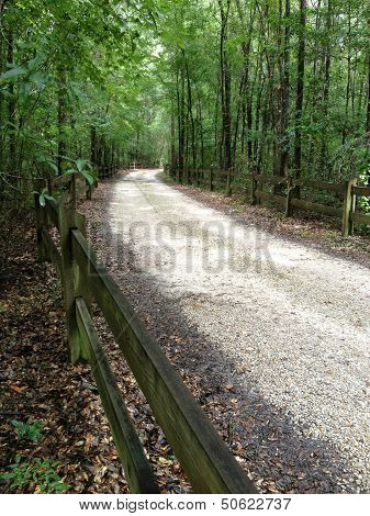 forest path