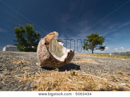 El Coco