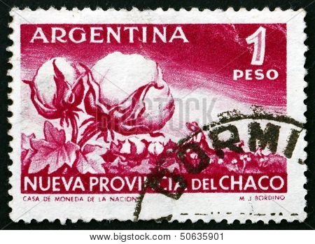 Postage Stamp Argentina 1956 Cotton Plant And Harvest