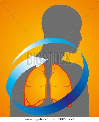 Healthy lungs