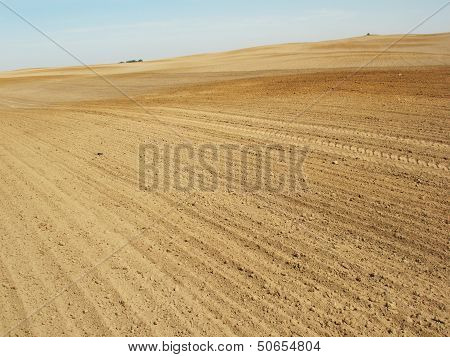 plowed field lanscape