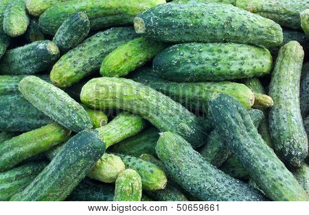 cucumbers