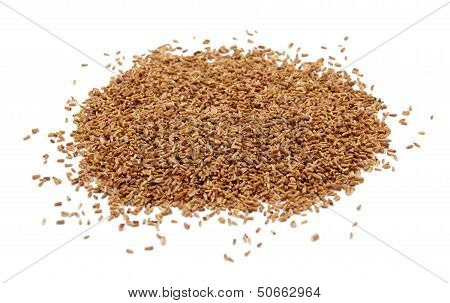 Corn Marigold Seeds