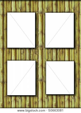 Green Bamboo frame.