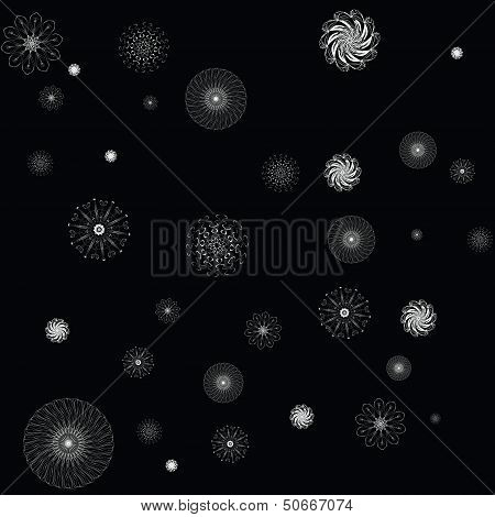 Flower Background Black & White.jpg
