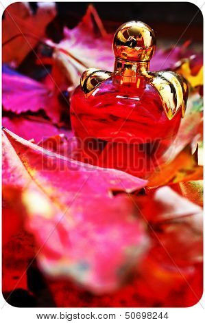 fragrance of autumn