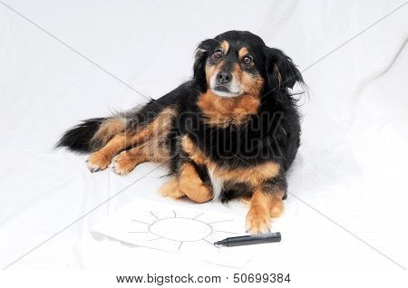 Drawing Dog