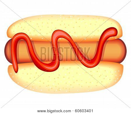 Hot Dog Isolated On White Background