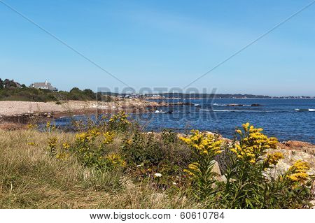 Coastal Scene