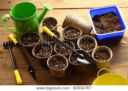 Preparation For Planting