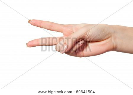 Hand Gesture Number Four Closeup Isolated On White