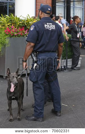 NYPD transit bureau K-9 police officer and Belgian Shepherd K-9 Wyatt providing security at US Open