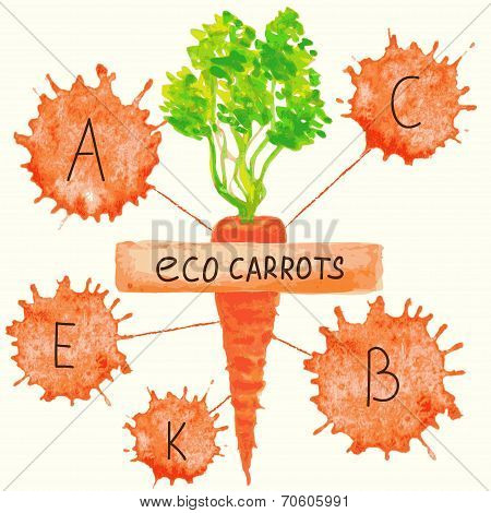 The content of vitamins in carrots.
