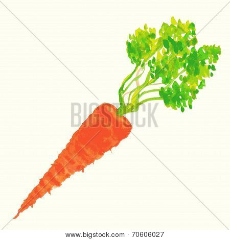 Watercolor illustration of carrot.