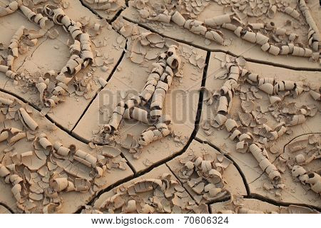 erosion of soil