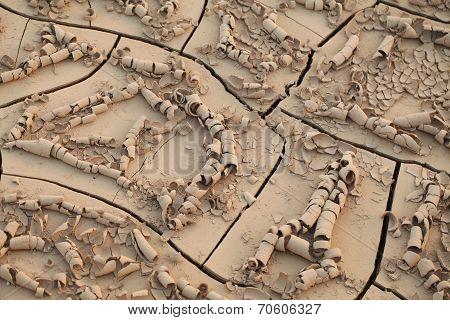 erosion of soil