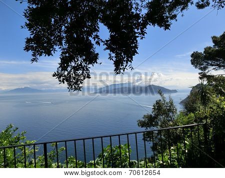 Beautiful view