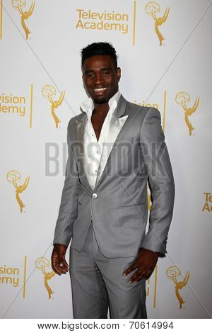 LOS ANGELES - AUG 22:  Keoikantse Motsepe of Dancing With The Stars at the Television AcademyÃ?ÃÂ¢??s Producers Peer Group Reception at London Hotel on August 22, 2014 in West Hollywood, CA