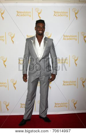 LOS ANGELES - AUG 22:  Keoikantse Motsepe of Dancing With The Stars at the Television AcademyÃ?ÃÂ¢??s Producers Peer Group Reception at London Hotel on August 22, 2014 in West Hollywood, CA