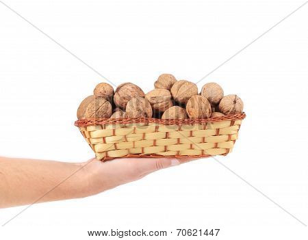 Hand holdind basket with walnuts.