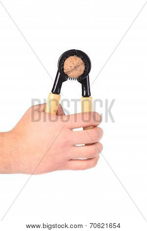 Hand holding nutcracker.