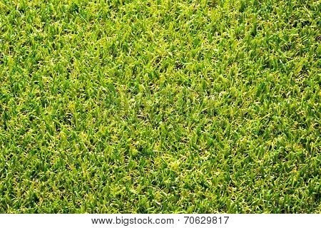 The fake grass texture.