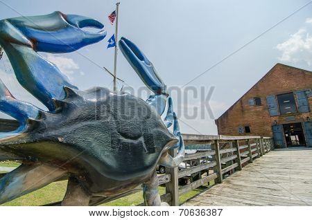 Waterfront Scenes In Washington North Carolina