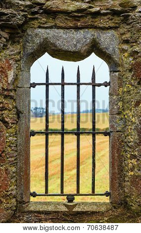 Kilcrea Friary In Co.cork, Ireland