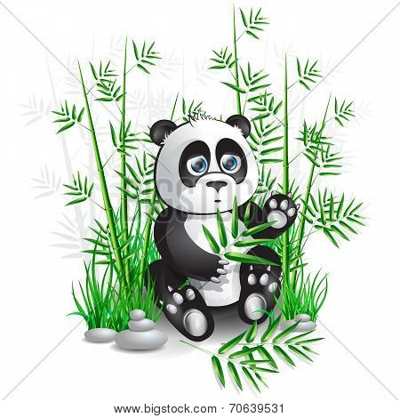 panda bamboo