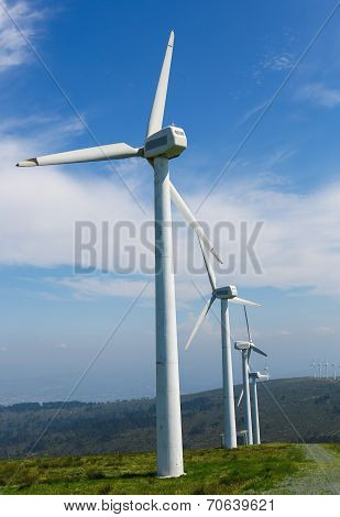 Wind Farm