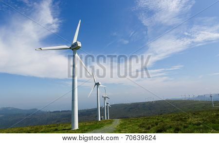 Wind Farm