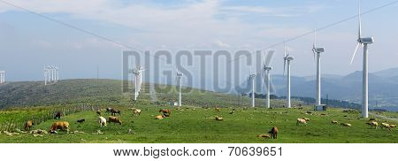 Wind Farm