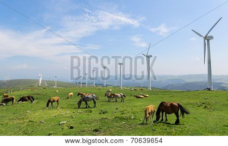 Wind Farm