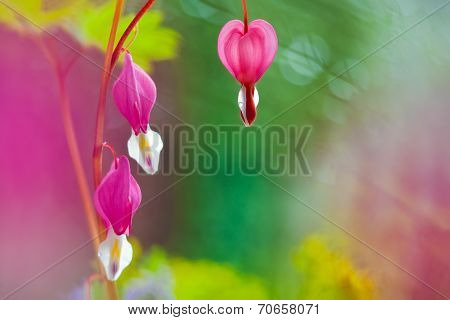 Ethereal Heart