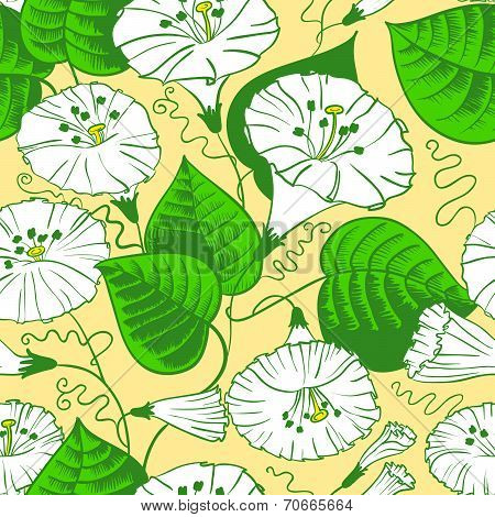 Floral Pattern