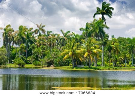 Fairchild tropiske botaniske have