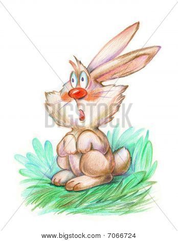 lustige Hase