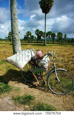 Child Labor At Asia Poor Countryside