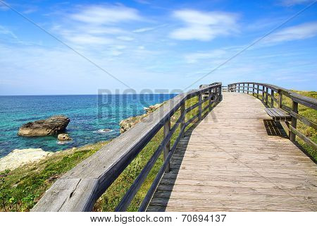 Picturesque landscape with bridge. Spain