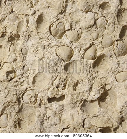 Cladding  Stone Tiles Closeup