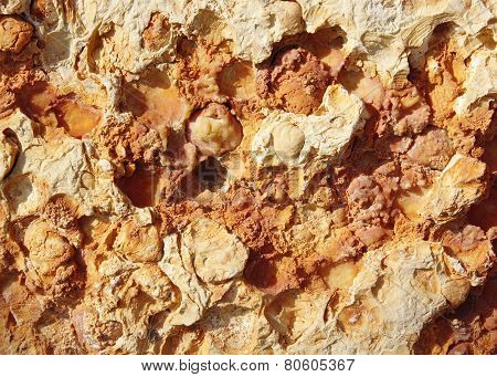 Cladding  Stone Tiles Closeup
