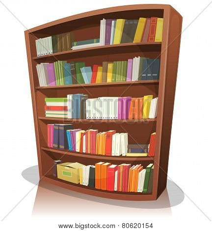 Cartoon Library Bookshelf