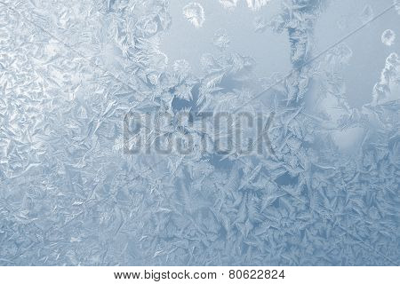 Frost Pattern Window Snowflakes