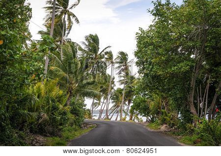 Tropical Road