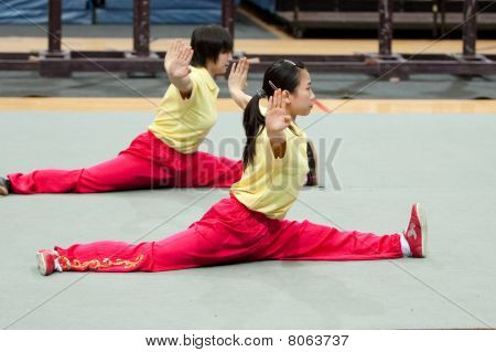 Kung Fu Heroes 2010 Italian Tour