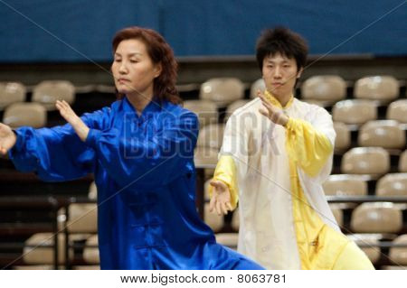 Kung Fu Heroes 2010 Italian Tour